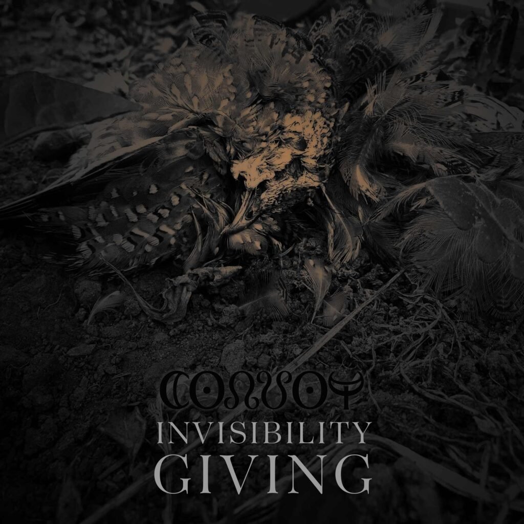 Invisibility Giving - Digital Download